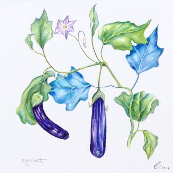 Pintura intitulada "Eggplants" por Elizabeth Sadler, Obras de arte originais, Aquarela