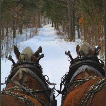 Fotografia zatytułowany „belge-la-trail-art-…” autorstwa Ellefenix, Oryginalna praca