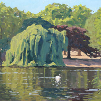 Painting titled "Swan in St James's…" by Elliot Roworth, Original Artwork, Oil Mounted on Cardboard