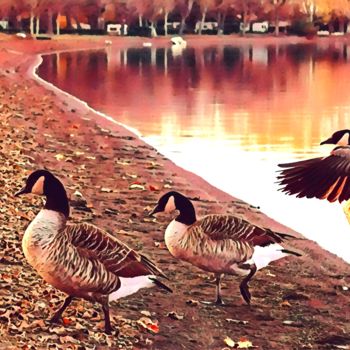 Photography titled "Walk of the goose" by Emanuele De Vincenzo, Original Artwork, Digital Photography