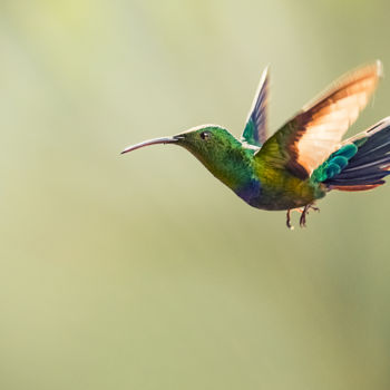 Fotografie getiteld "Et un ange vol..." door Emmanuel Raussin, Origineel Kunstwerk, Digitale fotografie