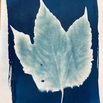Fotografia intitolato "cyanotype feuille d…" da Erick Philippe (eikioo), Opera d'arte originale, Fotografia non manipolata