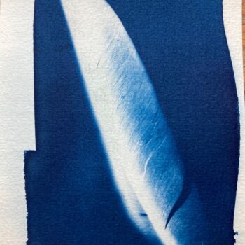 Fotografie mit dem Titel "cyanotype (30)" von Erick Philippe (eikioo), Original-Kunstwerk, Nicht bearbeitete Fotografie