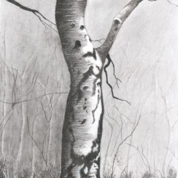 Drawing titled "Birch in woods" by Erkan Ertan, Original Artwork, Charcoal