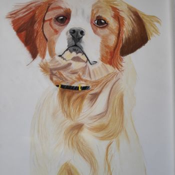 Dessin intitulée "Chien" par Estelle Morelli, Œuvre d'art originale, Pastel