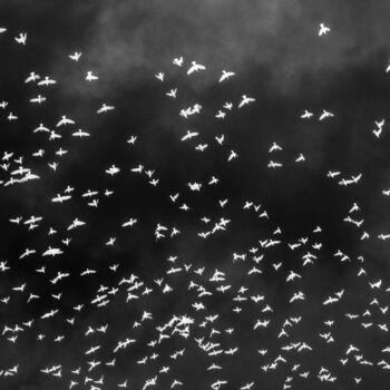 Fotografia zatytułowany „Les oiseaux dans le…” autorstwa Fanny Lamolinairie, Oryginalna praca, Manipulowana fotografia