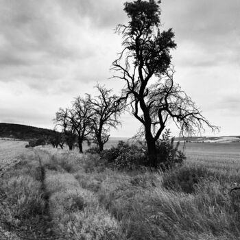 Fotografía titulada "Thüringer Landschaft" por Folker Reinhold Peter Pritsch, Obra de arte original, Fotografía digital