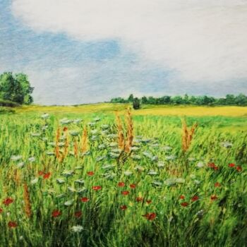 Painting titled "Campo fiorito" by Franco Forante, Original Artwork, Oil