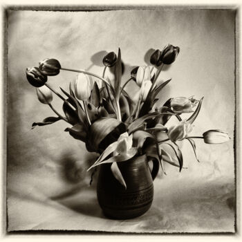 Fotografía titulada "Bouquet of tulips i…" por Franz Hümpfner, Obra de arte original, Fotografía analógica