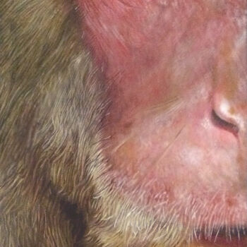 Peinture intitulée "macaque" par Franzart, Œuvre d'art originale, Huile