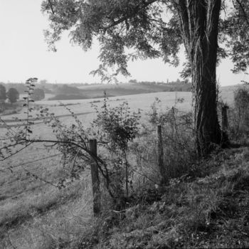 Fotografie mit dem Titel "au matin" von Frédéric Duchesnay, Original-Kunstwerk, Analog Fotografie