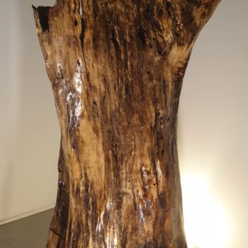 Sculpture intitulée "Tronc creux" par Gaël Maryn, Œuvre d'art originale, Bois