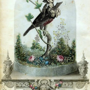 Arte digital titulada "Bel oiseau" por Solange Gautier, Obra de arte original, Collages