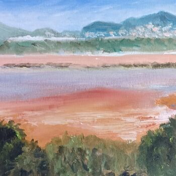 Painting titled "Les Salins des Pesq…" by Genevieve Fraysse, Original Artwork, Oil