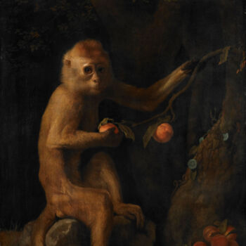 Painting titled "Un singe" by George Stubbs, Original Artwork, Oil