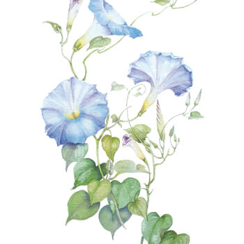 「Ipomea azzurro cielo」というタイトルの絵画 Gianna Tuninetti Lady Of Watercolorsによって, オリジナルのアートワーク, 水彩画