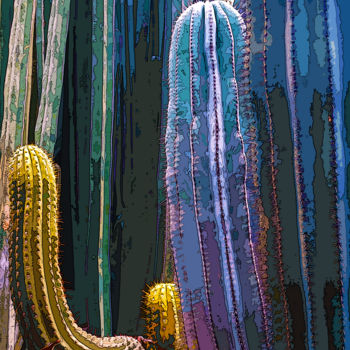 Arts numériques intitulée "sans titre . Cactus" par Gilles Mével, Œuvre d'art originale, Peinture numérique Monté sur Plexig…