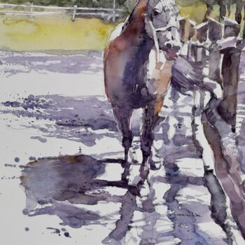 Peinture intitulée "Horse in the shadow" par Goran Žigolić (watercolors), Œuvre d'art originale, Aquarelle