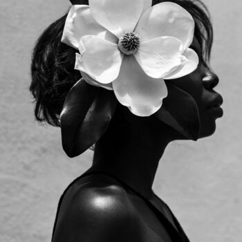 Fotografia intitulada "Magnolia" por Gregory Prescott, Obras de arte originais, Fotografia digital