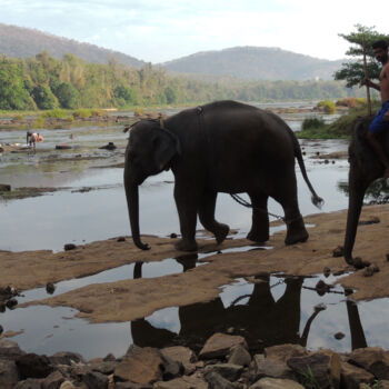 Photography titled "Éléphants se rendan…" by Guylaine Bisson (GuyL'ART), Original Artwork