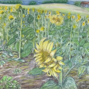 Σχέδιο με τίτλο "sunflowers" από Hale Bilek, Αυθεντικά έργα τέχνης, Παστέλ