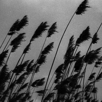 Fotografie getiteld "Hamburg, 1996" door Heinz Baade, Origineel Kunstwerk