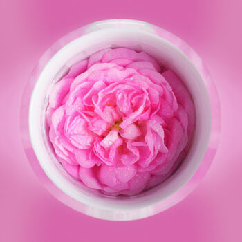 Arte digital titulada "Pink petals 🌸" por Rainbow, Obra de arte original, Foto-montaje