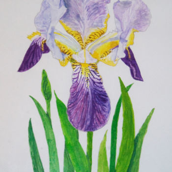 Pintura titulada "un iris" por Héloïse Chouard, Obra de arte original, Acuarela