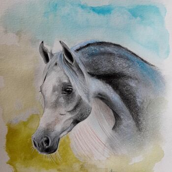 Dessin intitulée "Tête de cheval arab…" par Henri Ibara, Œuvre d'art originale, Crayon