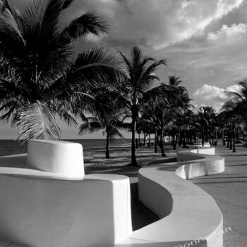 Photography titled "FORT LAUDERDALE" by Herve Donnezan, Original Artwork, Analog photography