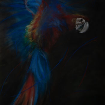 Tekening getiteld "Ara" door Herve Thomas-Miton, Origineel Kunstwerk, Pastel