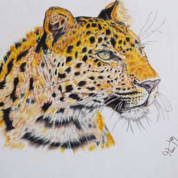 Zeichnungen mit dem Titel "leopard drawing" von Hiten Mistry, Original-Kunstwerk, Andere