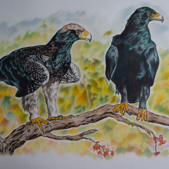 Dibujo titulada "Black eagles" por Hiten Mistry, Obra de arte original, Otro