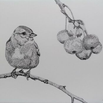 Dibujo titulada "Bird and wild fruit" por Ibrahim Unal, Obra de arte original, Lápiz