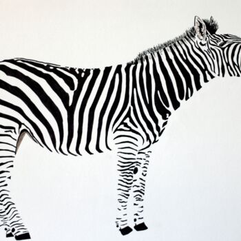 Zebra 4, Drawing by Ibrahim Unal