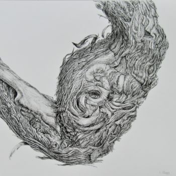 Drawing titled "Cep V" by Isabelle Stagg, Original Artwork, Ink