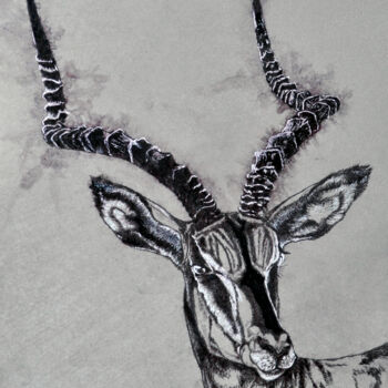 "African antelope Im…" başlıklı Tablo Igor Kashchenko tarafından, Orijinal sanat, Mürekkep