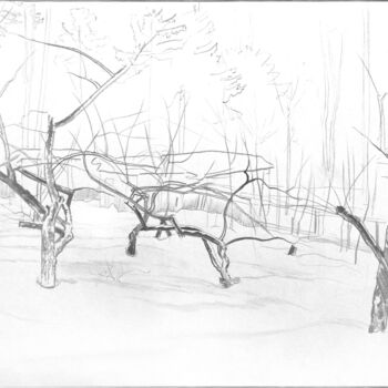 Dibujo titulada "Яблоневый сад зимой" por Igor Masin, Obra de arte original, Lápiz
