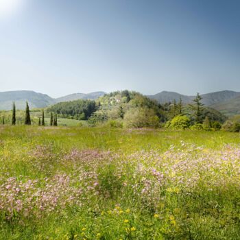 Fotografia zatytułowany „Primavera Toscana” autorstwa Ilesh, Oryginalna praca, Fotografia cyfrowa