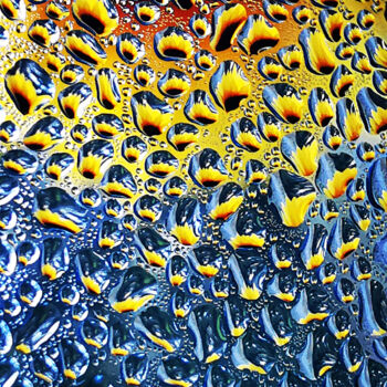 摄影 标题为“Sun Flower Raindrops” 由Ingrid Blaurock, 原创艺术品, 数码摄影 安装在铝上