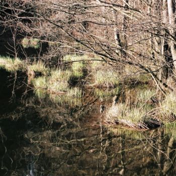 Fotografia zatytułowany „Ondoiements” autorstwa Ingrid Johann, Oryginalna praca