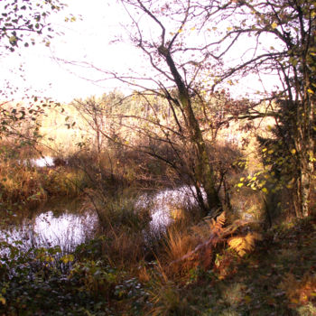 Photographie intitulée "L'automne" par Ingrid Johann, Œuvre d'art originale