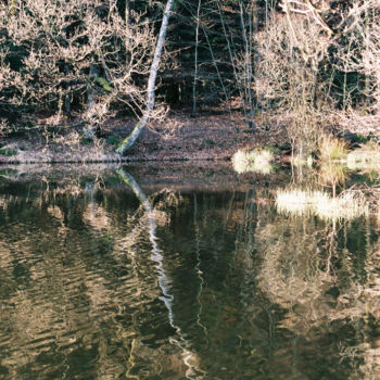 Fotografia intitolato "Le solitaire" da Ingrid Johann, Opera d'arte originale