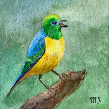 Painting titled "Finch bird" by Inna Martynenko, Original Artwork, Watercolor