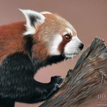 Pintura titulada "Le Panda Roux" por Iren'Art Painting, Obra de arte original, Pastel