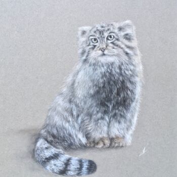 Drawing titled "Manul cat" by Irene_art, Original Artwork, Pastel