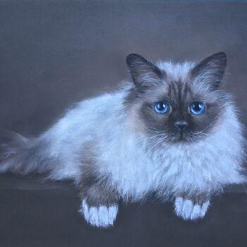 Tekening getiteld "Siamese cat" door Irene_art, Origineel Kunstwerk, Pastel