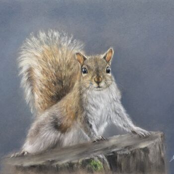 Tekening getiteld "Cute squirrel" door Irene_art, Origineel Kunstwerk, Pastel