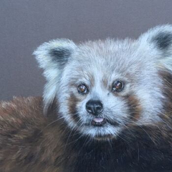 Drawing titled "Red panda" by Irene_art, Original Artwork, Pastel