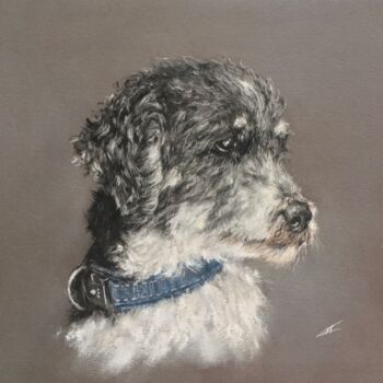 Рисунок под названием "Poodle" - Irene_art, Подлинное произведение искусства, Пастель